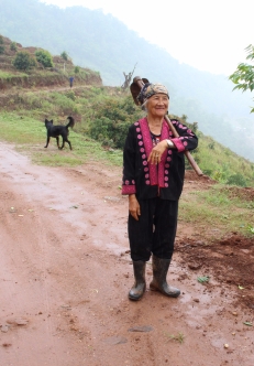 Hmong Hill Tribe woman